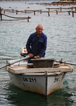 Luko Maskaric, an oyster farmer in Croatia. photos by Darrin Duford.
