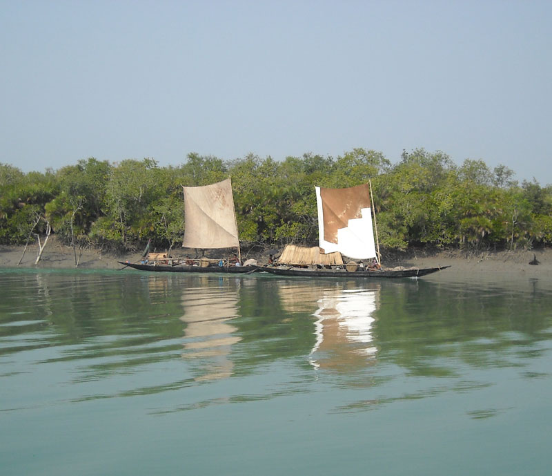 Peace and tranquility in the Sundarbans West Bengal. Photos by Swati Dasgupta