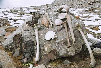 Ratusan Tulang Tengkorak Tak Beridentitas Ditemukan di Danau Ini