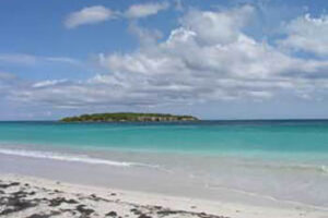 Vieques