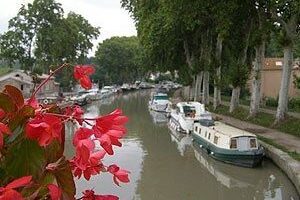 Flowers along the Canal du Midi, in southern France. Kent St. John photo.