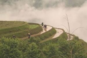 Grasshopper Adventures: Photography in China