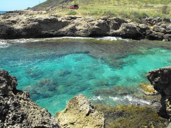 Awesome little cove near Ka'ena Point (I snorkeled here).