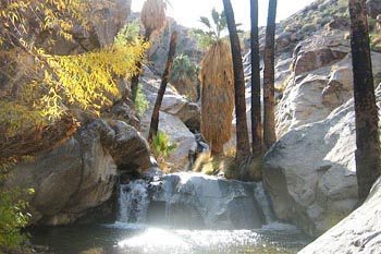 hiking palm spring