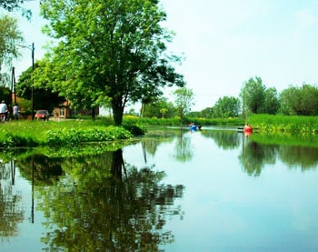 One fifth of the Netherlands is water.