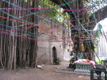 At the gates to Shaniwar Wada fortress of the Marathis in the city center, we can take rest at the giant banyan melded with the walls.