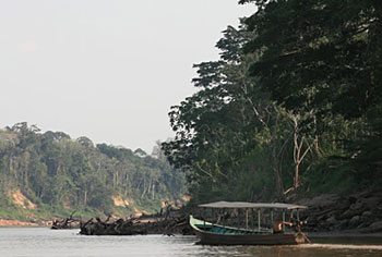 Searching for Yage in Peru.