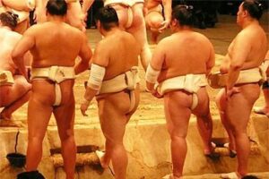 sumo-wrestlers