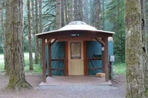 yurts-cabins