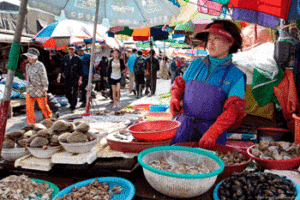 Jagalchi Market Busan