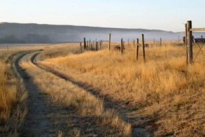 A country lane in Virgelle, Montana. photos by Laurie Gough.