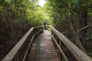 farm-pond-preserve-walkway