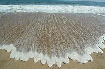 montauk wave