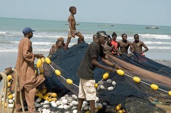 senegal tumult