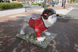 athens-georgia-bulldog