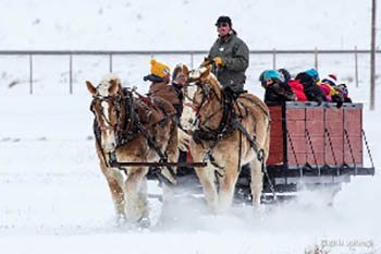 jackson hole