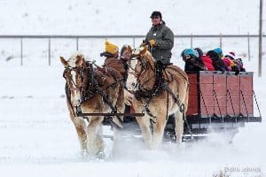 Sleigh ride in the Tetons.