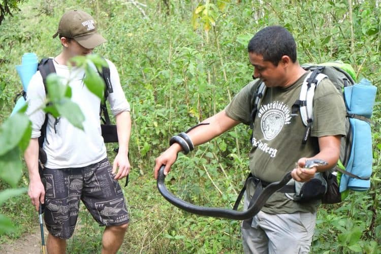 The Bushmaster Snake in the Darien Gap