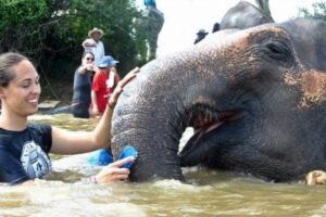 A volunteer with an elephant in Thailand. Globe Aware photos.