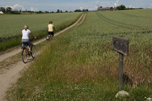 Cycling on Hven courtesy of Visit Hven Tourist Bureau