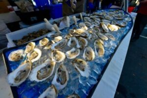 Wellfleet Oysters Surfing on Ice