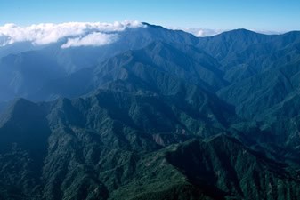 Jamaica's Blue Mountains, where the great coffee is grown.