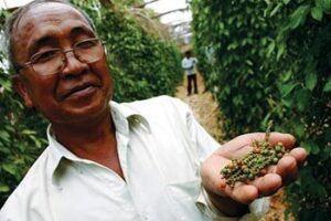 You can visit pepper farms in Kampot, Cambodia for some of the world's hottest peppers and locally made salt.