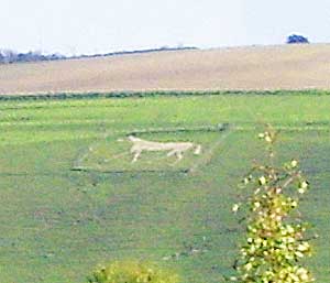 One of the famous White Horses of Wiltshire