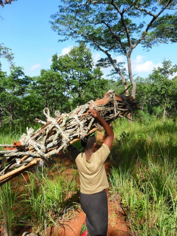 At the base of Mount Mulanje a woman carries of some firewood. John tells me that Saturday is the day for collecting wood when the women and children leave very early and collect the wood for the week.