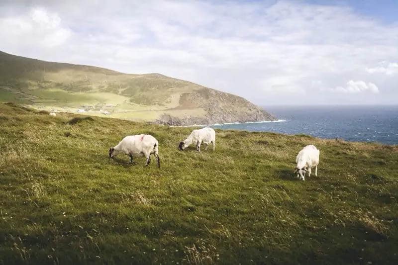 Ireland's Dingle Peninsula. Andy Castillo photo. unbridled