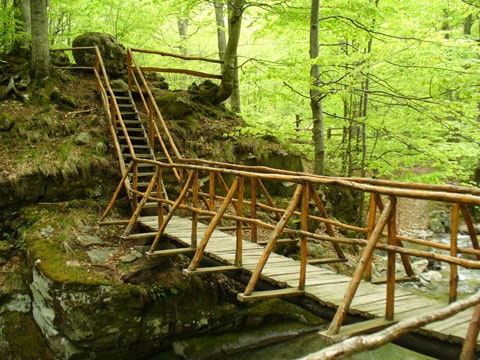 A rickety bridge across the stream in Aprilski.