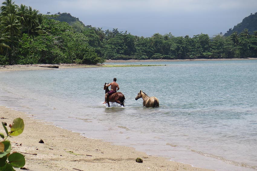 A man cools off his horses on a deserted beach