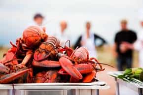 Prince Edward Island lobsters