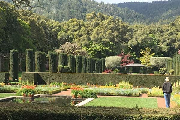 The beautiful English gardens at Filoli, in Woodside CA.