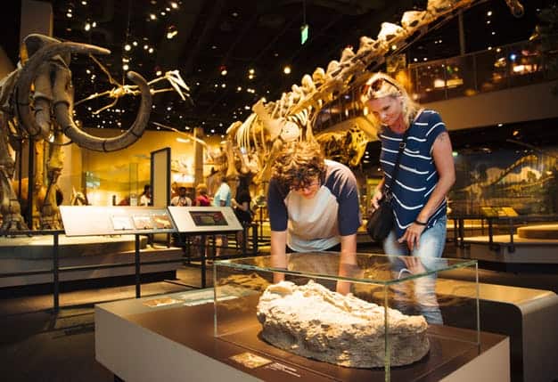 dinosaurs at perot museum