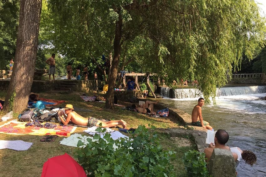 Chilling under the shade of the robust foliage in Moret-sur-Loing, Paris, France.