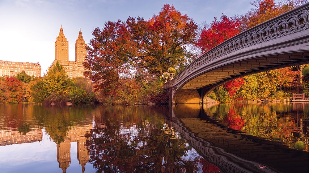 An early-morning walk in Central Park. Capturing Central Park in the fall is a lifelong dream for me as a photographer.