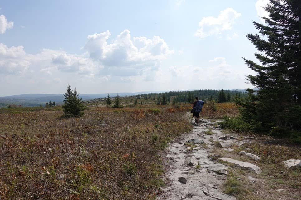 A backpacker in Dolly Sods, West Virginia.