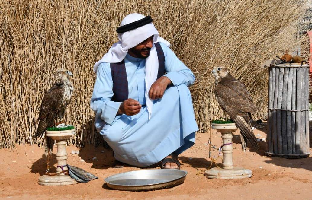 Bedouin falconer in the historic district of Al Fahidi