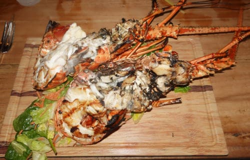 Grilled Lobsters