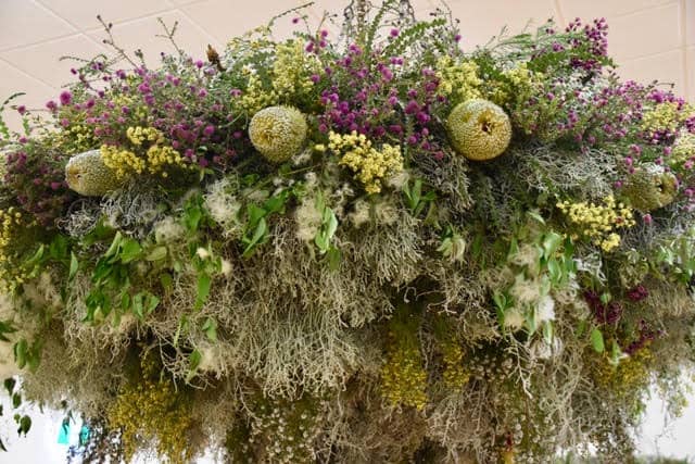 Wild Flower Chandelier, Western Australia, Ravensthorpe-Hopetoun