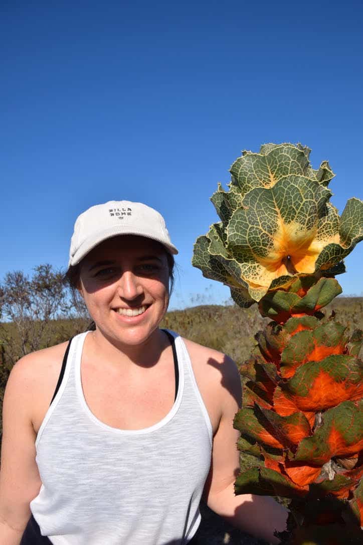 Wildflower Show in Western Australia