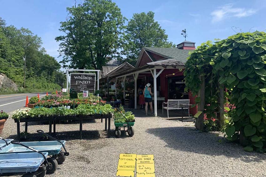 The entrance to Walker Farm. Aysia Reed photos.