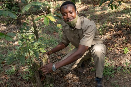 Anuary is part of the staff at the Coffee Lodge that gives one-hour Bean-to-Cup coffee estate tours.