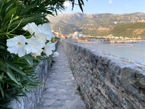 The Budva city walls protect the Old Town and look out over the mountains and Sveti Nikola.