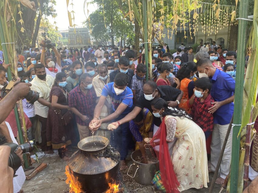 Local devotees patiently waited for their turn to pour in handfuls of rice into a boiling cauldron of milk as part of the tradition of giving thanks on the first day of the new year.