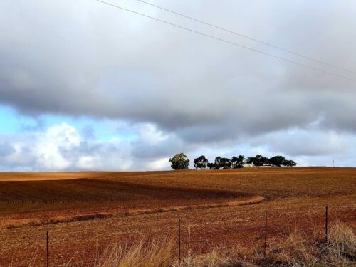 The roadside views are never-ending.