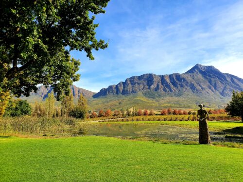 Saronsberg Wine Estate mountain view.