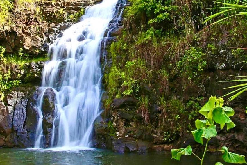 Searching for Oahu's Hidden Treasures 4