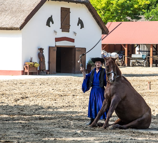 Csikós taught their horses to sit so they’d be a smaller target during battle.